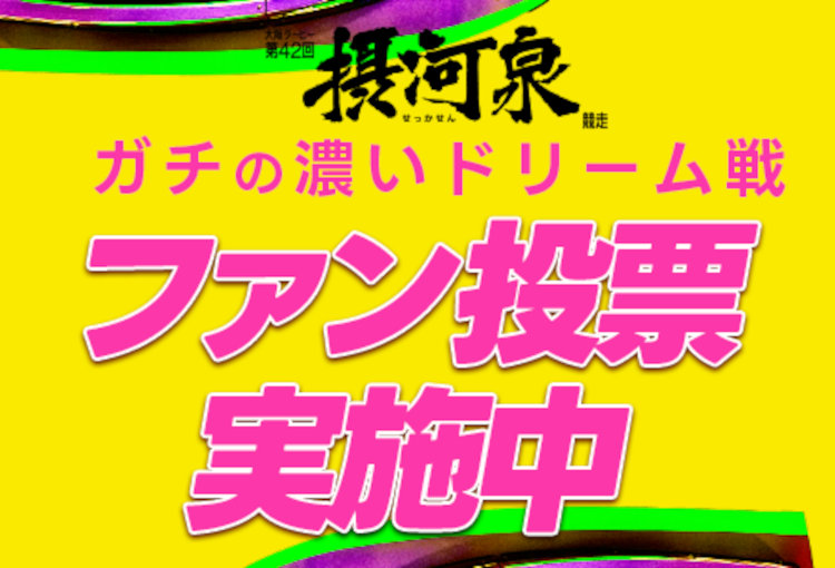 8月開催の摂河泉競走！ドリーム戦メンバーのファン投票を実施